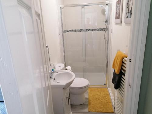 a bathroom with a toilet sink and a shower at Stunning holiday accommodation by the sea in Paignton