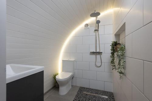 a bathroom with a toilet and a sink and a light at Harbour Hideaway in Newlyn