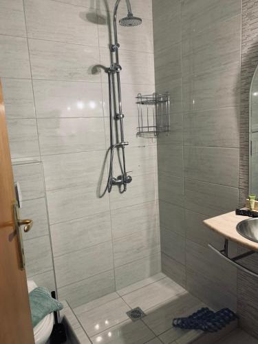 a shower with a glass door in a bathroom at Hotel Platon in Nei Poroi