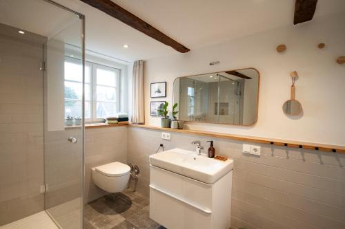 een badkamer met een toilet, een wastafel en een spiegel bij Dudenhaus Soest / Anno 1554 / Am Brauhaus Zwiebel in Soest