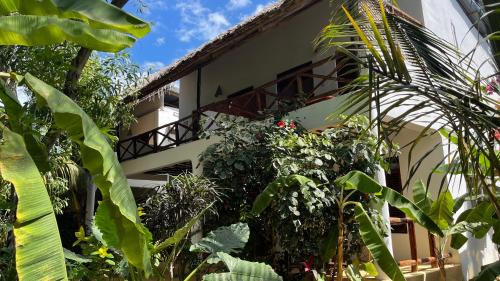 a building with a bunch of plants in front of it at Atii Garden Bungalows in Nungwi