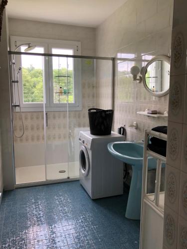 une salle de bain avec une machine à laver et un lavabo dans l'établissement Coalpie, à Barbaste