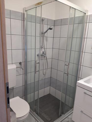 Apartments Pineta Franko