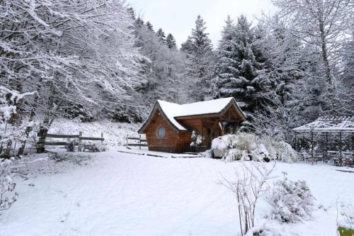 a cabin in a snow covered yard with trees at Charmant chalet aux portes d'Epinal in Épinal