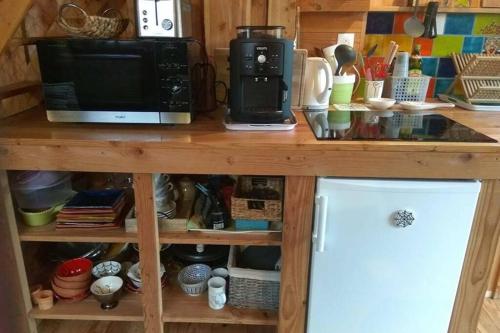 a kitchen counter with a microwave and a refrigerator at Charmant chalet aux portes d'Epinal in Épinal