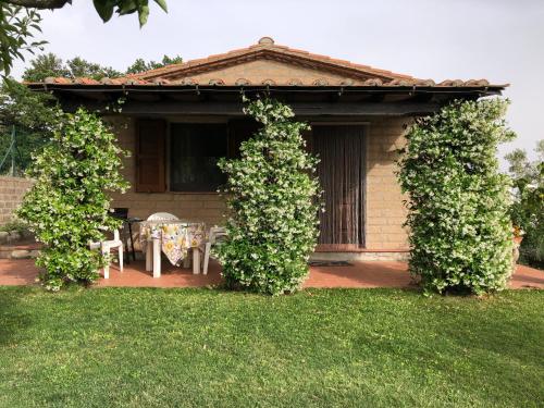 a house with a table and chairs in a yard at Monolocale La Mimosa in Elmo