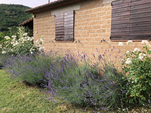 a brick building with a window and some bushes at Monolocale La Mimosa in Elmo
