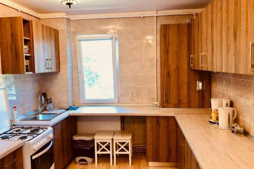 a kitchen with wooden cabinets and a sink and a window at Joy City Stay Iasi 15 in Timişoara