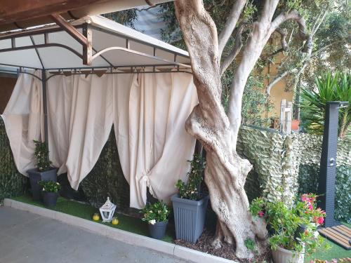 a tree with plants in pots next to a curtain at SEAHORSEROOM in Finale Ligure
