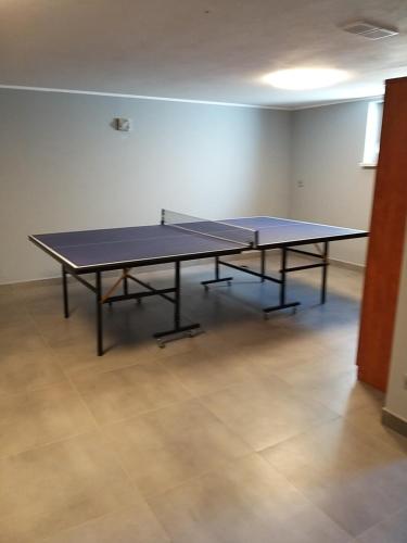 Ping-pong facilities at Willa przy Osadzie Skoczkowo or nearby