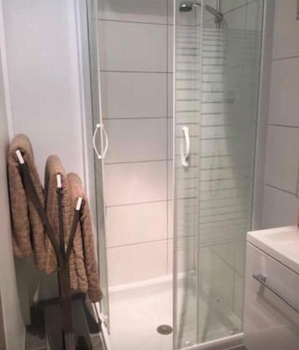 une salle de bain avec une douche avec une porte vitrée dans l'établissement Studio Cosy à 5 minutes de la Gare de Lyon, à Paris