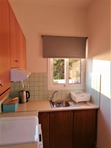 Emerald Apartment 2 Halepa