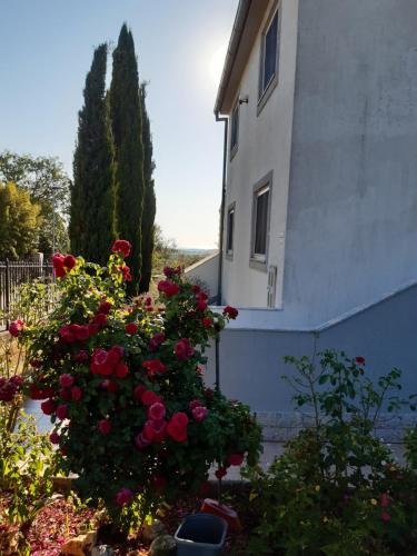 ein Haus mit Blumen vor einem Gebäude in der Unterkunft Apartmani Franka in Rovinjsko Selo