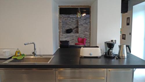 une cuisine avec un évier et un plan de travail dans l'établissement 15 Les Ours, à Plouër-sur-Rance