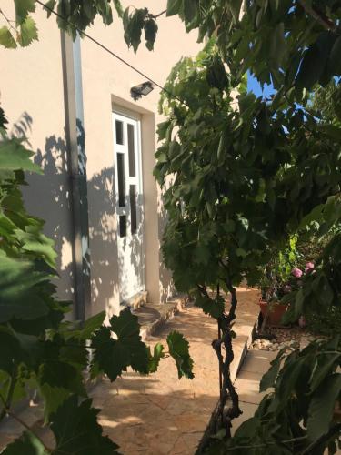 Zahrada ubytování Hvar Apartments Felix