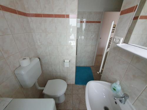 a bathroom with a white toilet and a sink at Nyíl Apartman wellnes in Debrecen