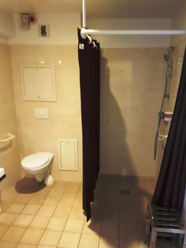 a bathroom with a toilet and a shower with a curtain at Auberge de la Baie in Ardevon