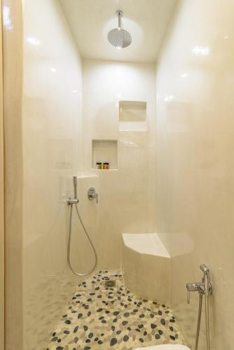 a bathroom with a shower with a glass door at Golden Grey Goose in Fira