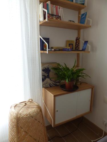 une chambre avec une étagère et une plante sur elle dans l'établissement Chambre privative près de l'étang de Thau, à Sète