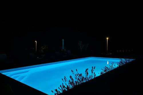 Gallery image of Villa Apartments AniFil in Novalja