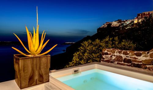 a bath tub with a potted plant in it at Golden Grey Goose in Fira