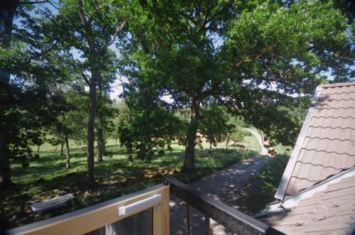 a view from the balcony of a house with a tree at Gäststugan in Skara