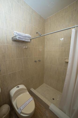 a bathroom with a toilet and a shower at Antawasi Hotel in Cusco