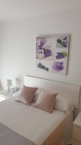 a white bed with two pillows and a picture above it at Alborada in Viveiro