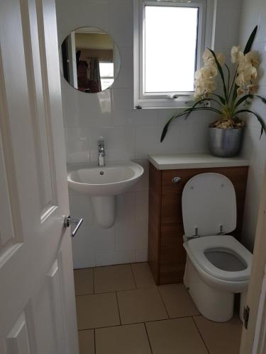 a bathroom with a toilet and a sink and a window at Camber Sands Holiday Chalets - The Grey in Camber