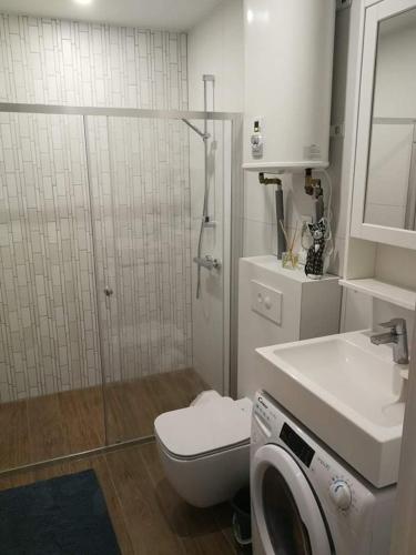 a bathroom with a shower and a toilet and a sink at Apartamentai “Viola” Juodkranteje in Juodkrantė