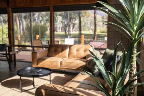sala de estar con sofá y maceta en Grampians Getaway, en Halls Gap