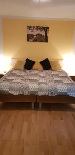 1 dormitorio con 1 cama grande y 2 almohadas en Penzión Terra Banensium, en Banská Štiavnica