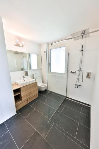a bathroom with a shower and a sink and a toilet at Young Backpackers Homestay in Luzern