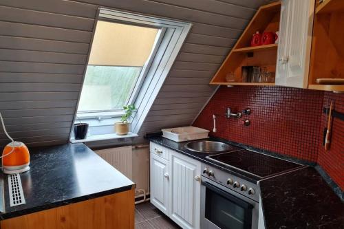 a small kitchen with a sink and a stove at Stepin in Kiskunfélegyháza