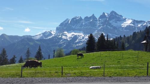 Tres vacas pastando en una colina con montañas en el fondo en LES RHODOS 1, en Les Crosets