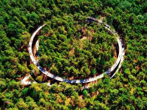 an aerial view of a train track in the forest at Vakantiehuis Sahara119 in Lommel