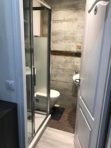 uma casa de banho com um WC e uma porta de duche em vidro. em Jolie studio em Rueil-Malmaison