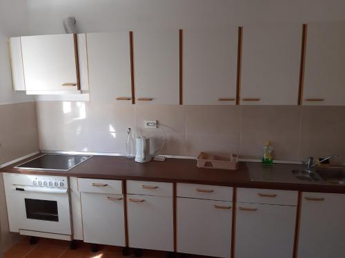 Kuchyň nebo kuchyňský kout v ubytování OLIVA DOM Čista Mala