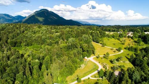 an aerial view of a forest with a mountain at Apartment Organic Farm Hvadnik in Tržič