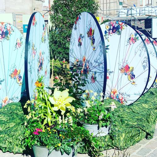 a group of surfboards with plants and flowers at Hotel Bristol in Mulhouse