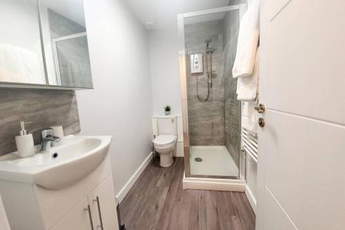 a bathroom with a toilet and a sink and a shower at Modern 1 Bedroom Apartment, Close to the Beach with Parking in Bournemouth