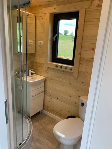 Koupelna v ubytování La Casuta din Ciocanesti Art