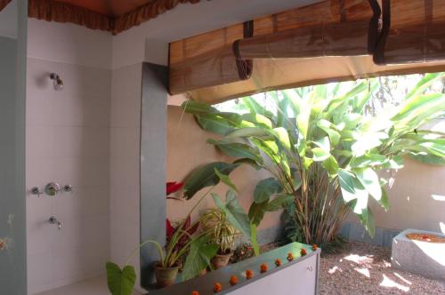 a bathroom with potted plants on the wall at Shreyas Retreat in Nelamangala