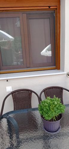 a table with two chairs and a potted plant on it at Ethra luxury studios in Asprovalta