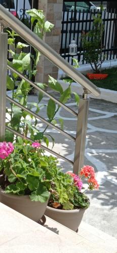 a group of plants in pots on a patio at Ethra luxury studios in Asprovalta