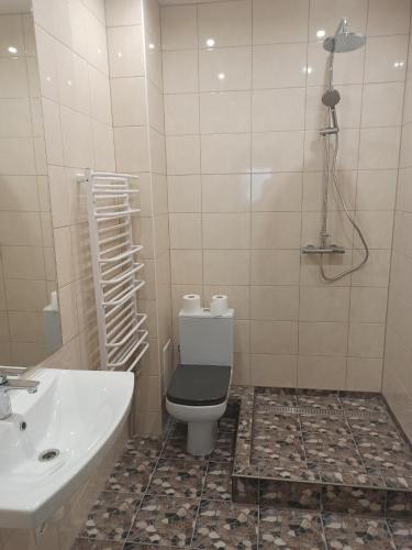 a bathroom with a toilet and a sink at LOFT Home in Daugavpils