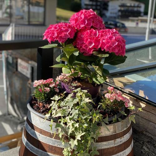 a potted plant with pink flowers in a barrel at Hotel Eldorado in Ischgl