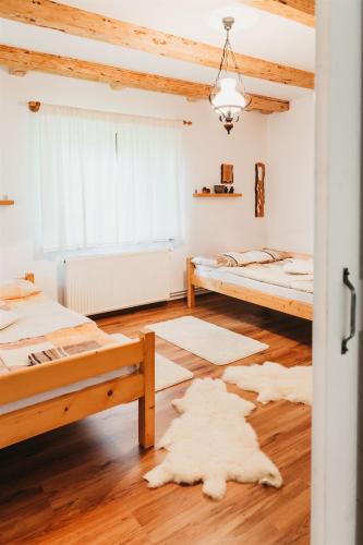 a bedroom with two beds and a window at Behív-Lak in Medişoru Mic