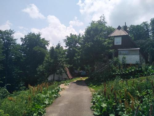 a dirt road leading to a house and trees at Dobre Vode 2 in Žabljak