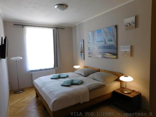 Fotografie z fotogalerie ubytování VILA POD LIPAMI v destinaci Bruntál